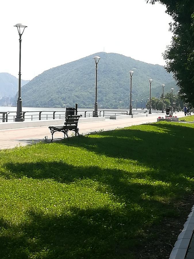 Apartman Bogic Golubac Eksteriør billede